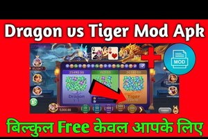 What is Dragon Tiger