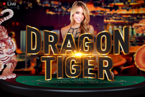 Dragon vs tiger ame about