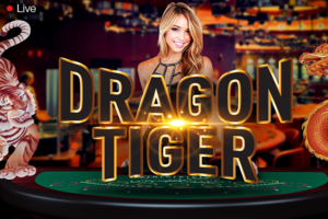 Dragon vs tiger ame about 